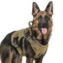 Flight Jacket Pet Dog Harness K9 Working Pet Dog Collar Vest Dog Leash Lead Training Running For Medium Large Dogs