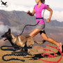 [TAILUP] Pet Dog Running Leashes Hands Freely Great for Walking ,dog leash Rope with reflective Jogging dog collars leash CL109