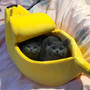 Banana Shaped Cat Bed