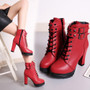 Women Sexy High Heels Platform Ankle Boots Thin Heel Lace-Up Boots Shoes