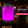 Night Light NBY-2260 Mini Bluetooth Speaker Color LED Light Outdoor Sport Wireless Stereo Portable Speaker Built-in Microphone Handsfree TF Card AUX MP3 Music Play FM Radio Sound Holiday Party Gite