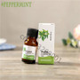 10ml Tea Tree Pure Essential Oils for Aromatherapy Diffusers Natural Essential Oil Skin Care Lift Skin Plant Fragrance oil