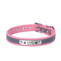 Personalized Leather Reflective Cat/Dog Collar