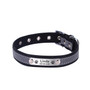 Personalized Leather Reflective Cat/Dog Collar