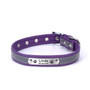 Personalized Leather Reflective Cat/Dog Collar