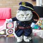 Precious Cat Costumes