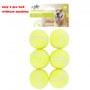 Tennis balls for Ball Launcher - 6 x Dog Tennis Balls