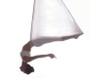 AERIAL YOGA SWING