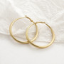 Trendy Gold Color Earrings