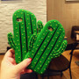 Cactus Case