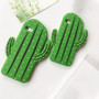 Cactus Case