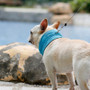 Instant Ice Cooling Bandana