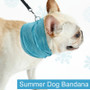 Instant Ice Cooling Bandana