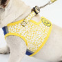 Breathable Harness And Leash