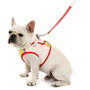 Breathable Harness And Leash