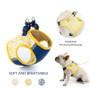 Breathable Harness And Leash