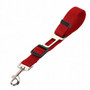 Car Seat Belts