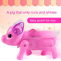 Electric Walking & Singing Musical Piggy Toy