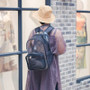 "The Rambler Cat " Transparent Cat Backpack with Mesh Windows