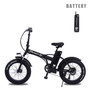 Double Battery Electric Bicycle