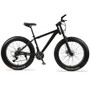 Mountain Bicycle Road Bike