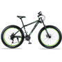 Mountain Bicycle Road Bike