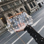 TekiEssica Pearl Clear Transparent PVC Women Messenger Bag Hologram Laser Colorful Bag Girls Small Chain Clutch Crossbody Bags