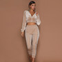 2020 Velvet Fabric Tracksuit Long Sleeve Cropped Top Hoodies Coat Spring Fall Sports Suits Two Piece Set Women Track Suit Pants