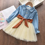 Bear Leader Embroidery Girls Dress New Autumn Princess Dresses Mesh Long-Sleeves Party Dress for Girl Kids Dress with Flowers