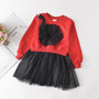 Bear Leader Embroidery Girls Dress New Autumn Princess Dresses Mesh Long-Sleeves Party Dress for Girl Kids Dress with Flowers