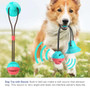 The Chewy Ball - Toy For Teeth Cleaning