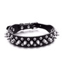 Pu Leather Punk Rivet Spiked Dog Collar