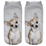 3D Pug Dog Print Socks