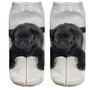 3D Pug Dog Print Socks