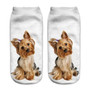 3D Pug Dog Print Socks