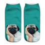 3D Pug Dog Print Socks