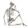 90cm Durable Simulation Humans Skeleton Ornament Halloween Party Bar Haunted House Props Home Decoration