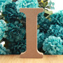 1pc 10cm Wood Color Wooden Letters Alphabet DIY Word Letter Art Crafts Standing Name Design Party Wedding Home Decor 3.94 Inches