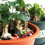Fairy Garden -  6pcs Miniature Fairies Figurines Accessories for Outdoor Decor 667A