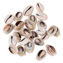 Small Bulk Cut Beach Sea Natural Shell Conch Beads Cowry Cowrie Tribal Jewelery Craft Accessories