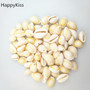 Small Bulk Cut Beach Sea Natural Shell Conch Beads Cowry Cowrie Tribal Jewelery Craft Accessories