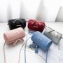 Women PU Leather Mini Shoulder Bag Ladies Crossbody Bag Tote Messenger Satchel Purses Luxury Handbags Women Bags Designer