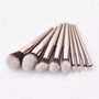 10pcs/set Champagne makeup brushes powder blush