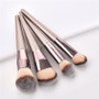 10pcs/set Champagne makeup brushes powder blush