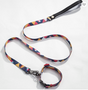 Tropic Sunset Geometric Dog Leash