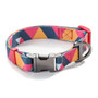 Tropic Sunset Geometric Dog Collar & Leash Set