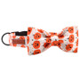 Pumpkin Dog Collar w/ Detachable Bow