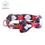 The Winston Cat & Dog Collar w/ Detachable Bow