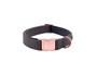 The Kurt Cat & Dog Collar w/ Detachable Bow