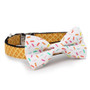 "Ice Cream Cone" Dog Collar w/ Detachable Bow